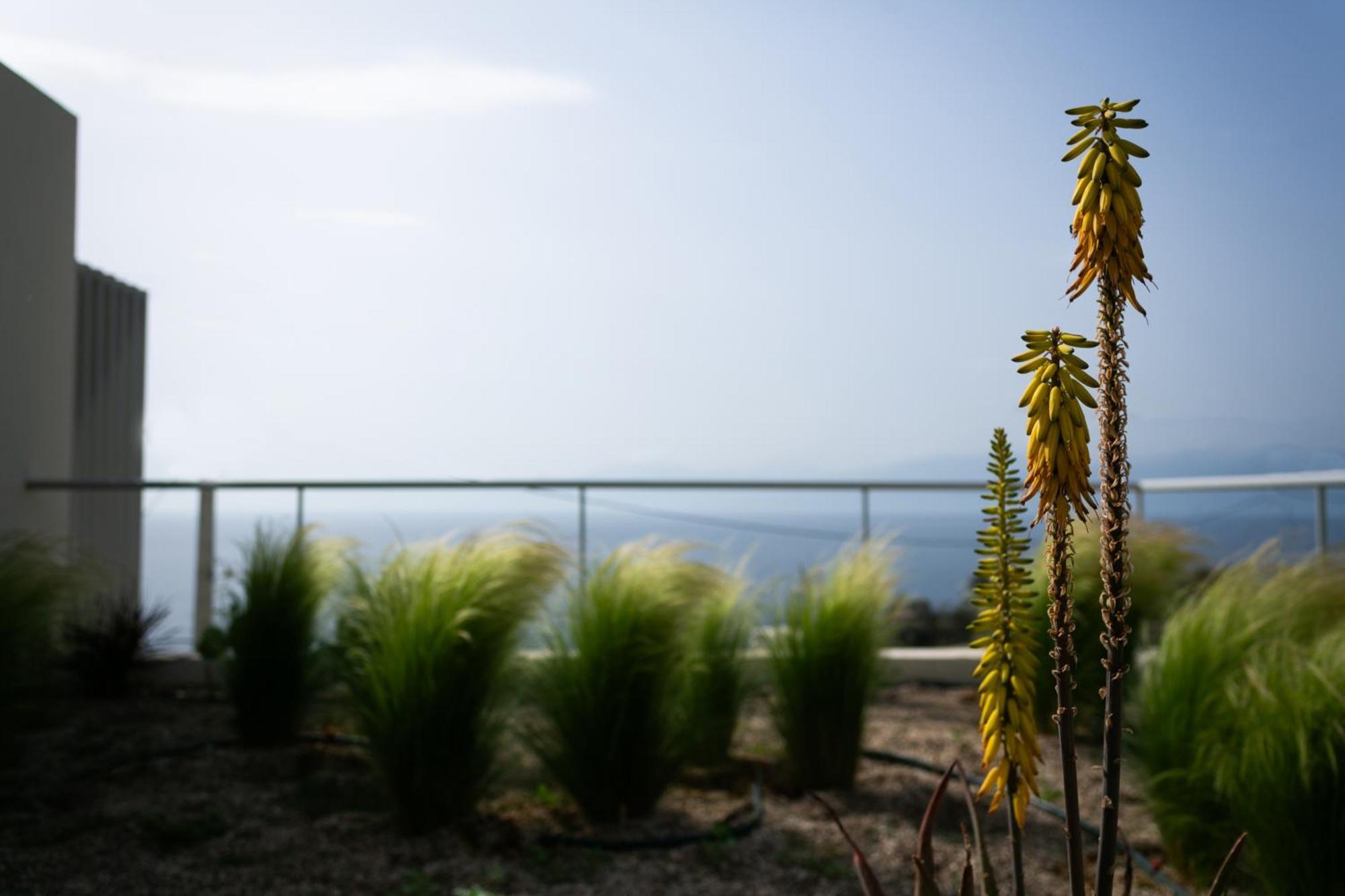 Physis Fokida Villa *