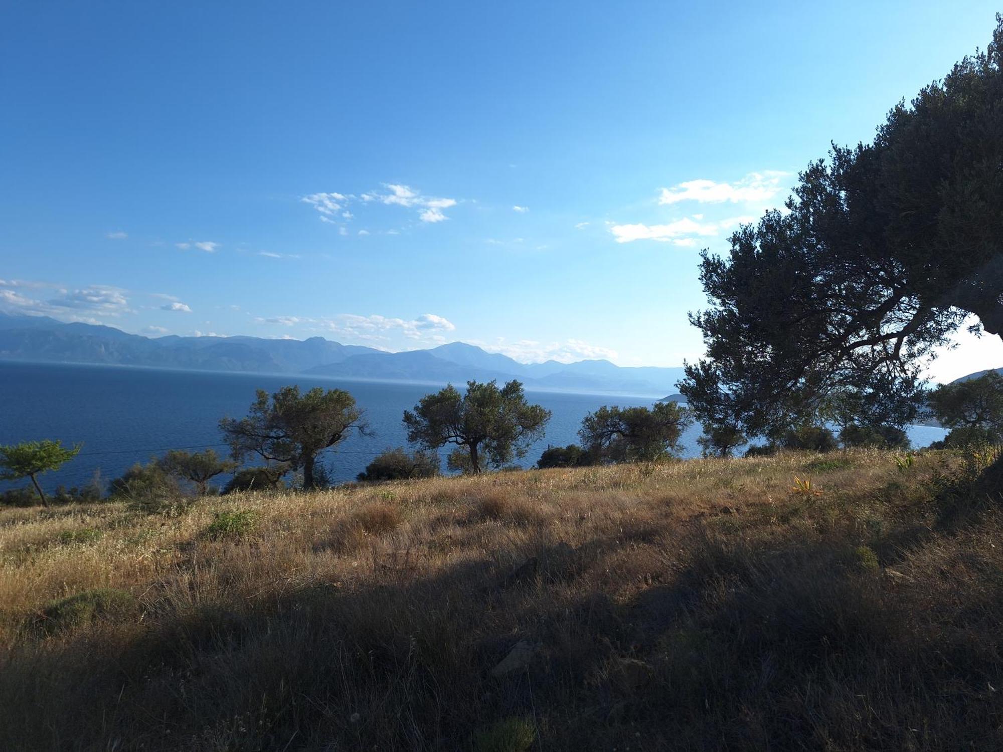 Villa Physis Fokida Eratini